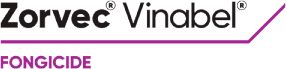 Brand_Logo