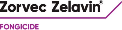 Brand_Logo
