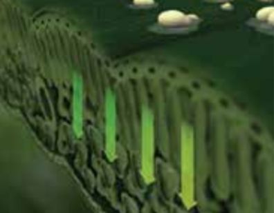 diagram of movement properties