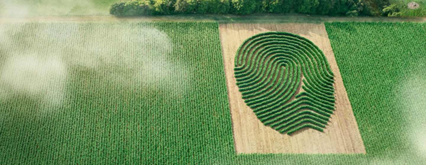 acapela canola fingerprint creative