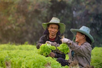 ID&E Benefits Suppliers, Farmers, and Employees