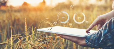 Acompañamiento de los cultivos con herramientas digitales