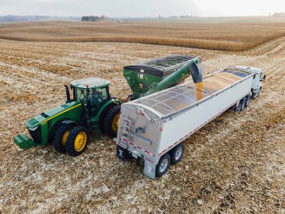 Drought-Stressed Grain Harvest