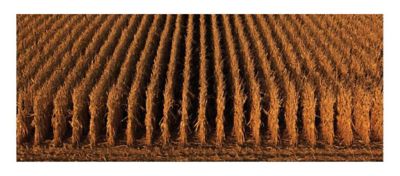 Cornfield - harvest season - aerial view