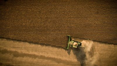 America's #1 Soybean Brand for 20 Years & Counting. Have at it.