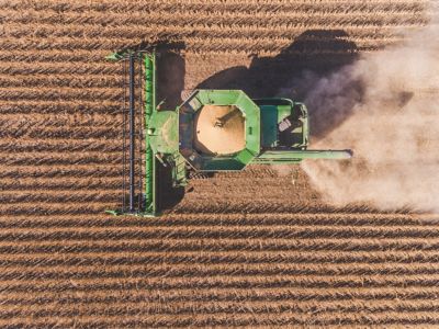 Aerial soybean harvest yield
