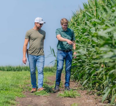 Use of Starter Fertilizers in Corn Production