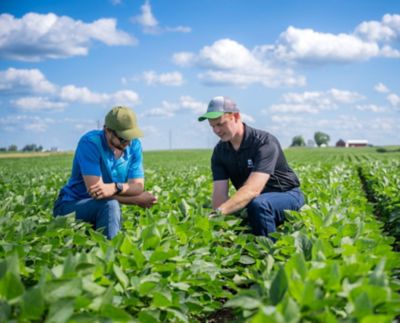 Achieving 100 bu/acre Yields in Soybeans