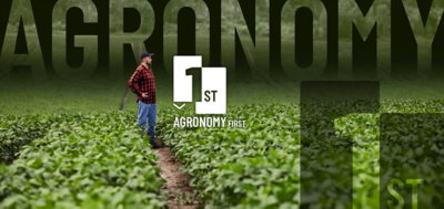 Man standing in soybean field