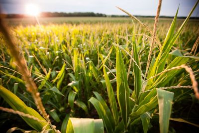 Toughness and resilience - AQUAmax