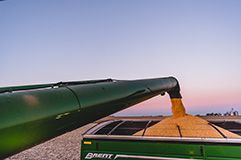 High Yield Potential