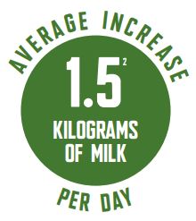 average increase per day icon