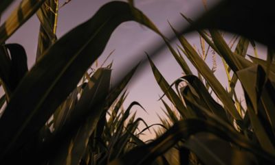 Our Innovation Story