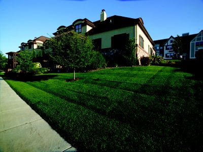 House on hill with manicured lawn and landscape