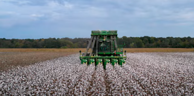 Better weed and insect management in cotton