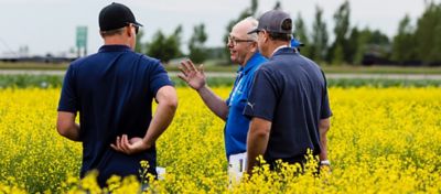 Men in canola field