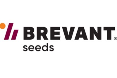 Brevant Logo