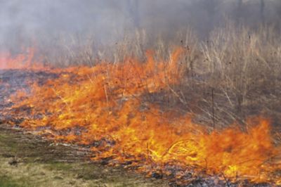 Brush wildfire