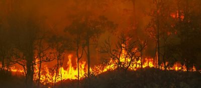 Wildfire burning at night