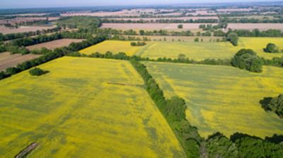See if the Winter Canola Program could be a fit for your operation.
