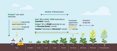 Corteva Canola solutions