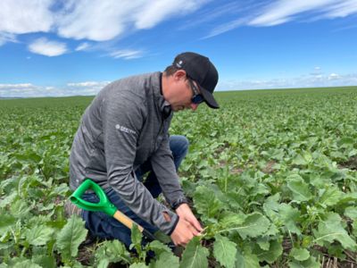 A man in a soil bean field checking the plant leaves