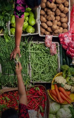Assortment of veggies