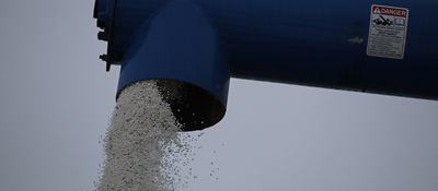 Choosing the right nitrogen source