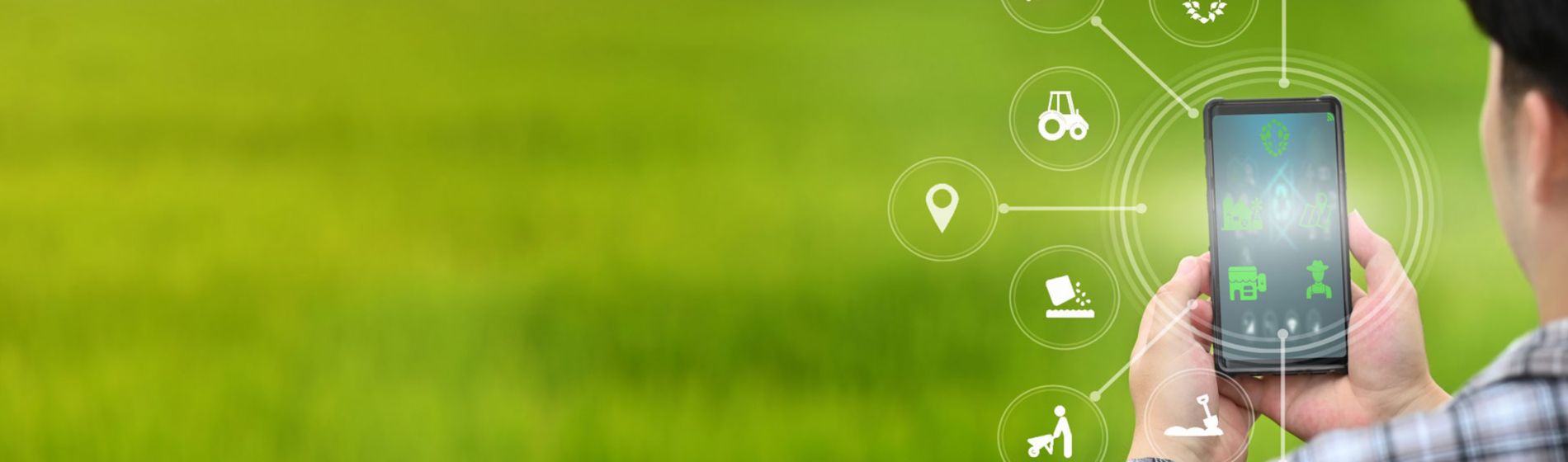 Día Mundial del Medio ambiente