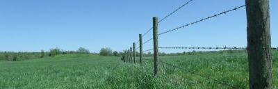 Clean fence row