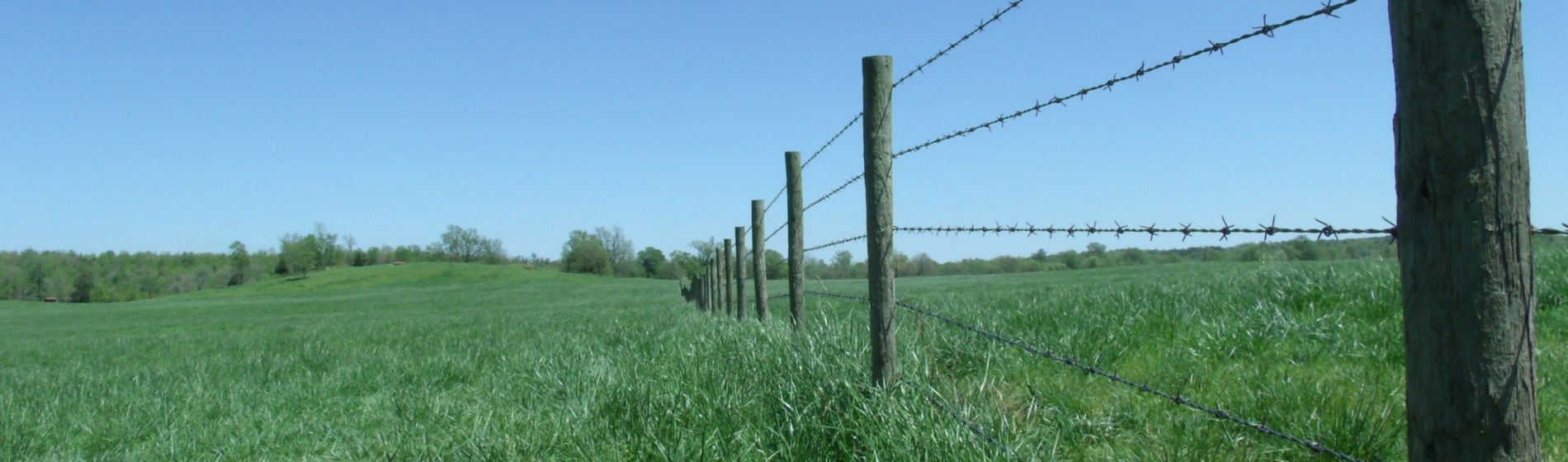 Clean fence row