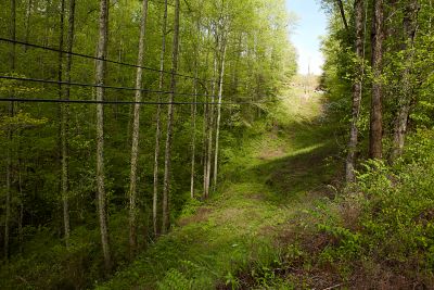 cleared utility ROW through wooded area