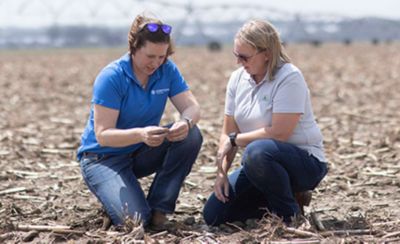 people in canola stubble