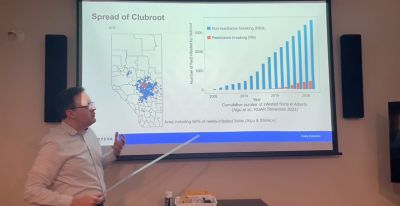 The spread of clubroot and new pathotypes. 