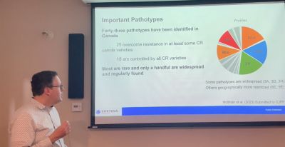 Clubroot pathotypes to know