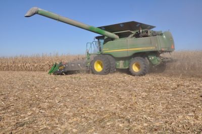 combine harvesting corn