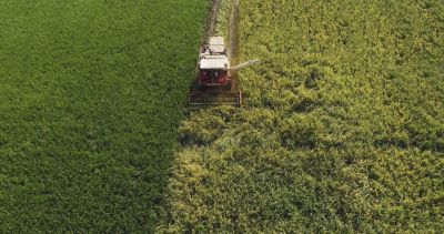machine harvesting green field