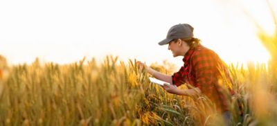 Competencias digitales en el campo español