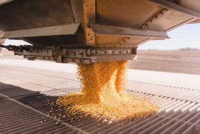 Interpreting Harvest Data