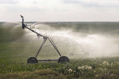 Corn Plant Population Research – Water-Limited Environments