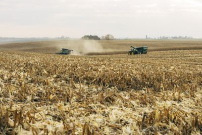 Photo - corn operation - near Gilman Iowa