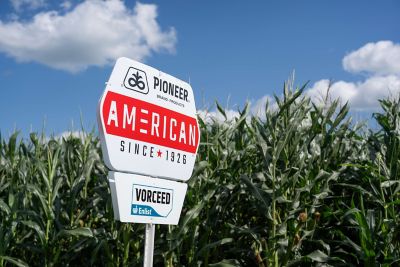 Maximize yield and profitability on corn acres