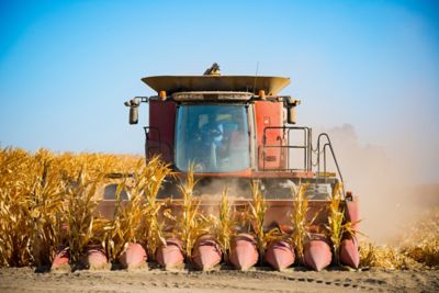 corn harvest combine