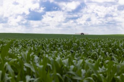 Drought-Stressed Grain Harvest