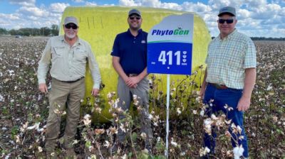 Cotton farmers and field sign