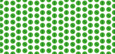 decorative soybean image