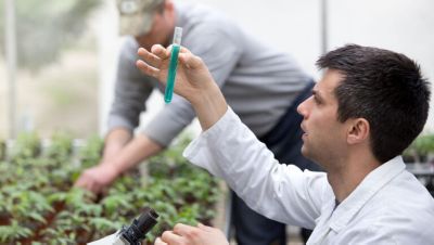 Protección de cultivos