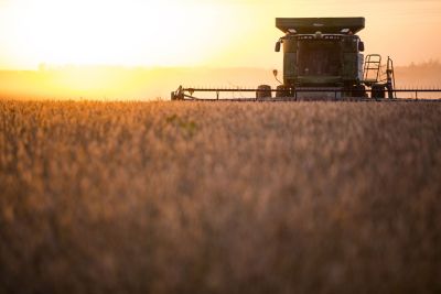 Reducing Harvest Losses in Soybeans