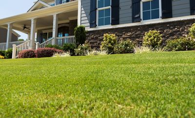 Cut grass with house in the background