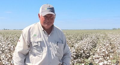 Cotton farmers and field sign